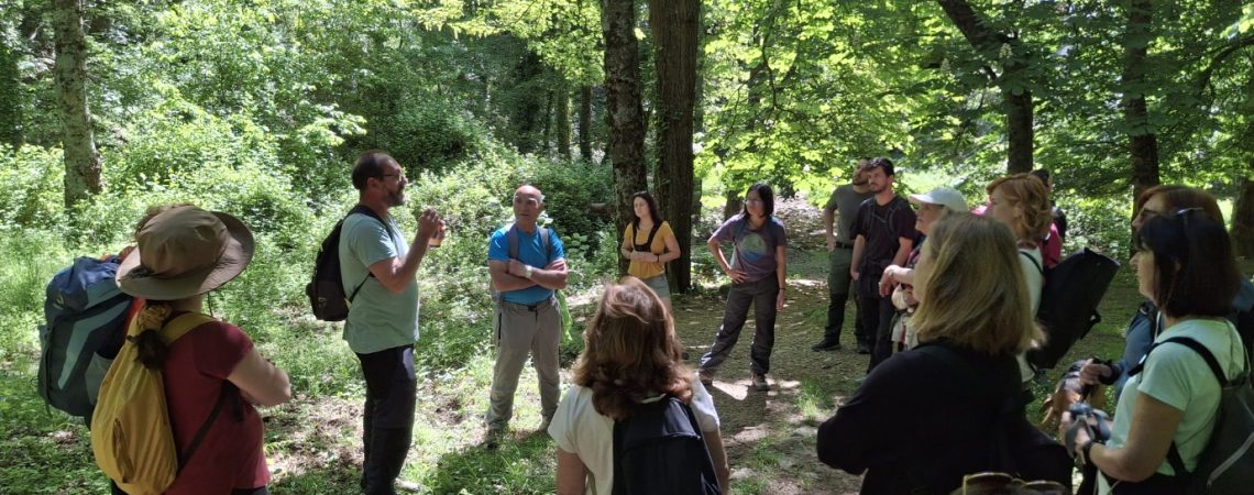 Excursiones Escorial