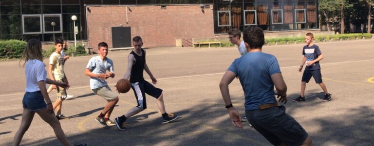 basket-768x301