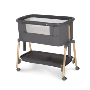 Asalvo Mini Seng