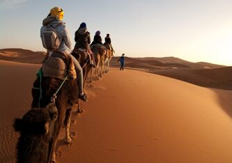 Merzouga-caravana-dromedarios