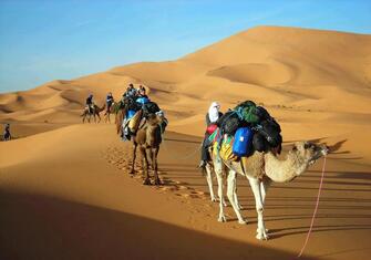 Merzouga-caravana-dromedarios