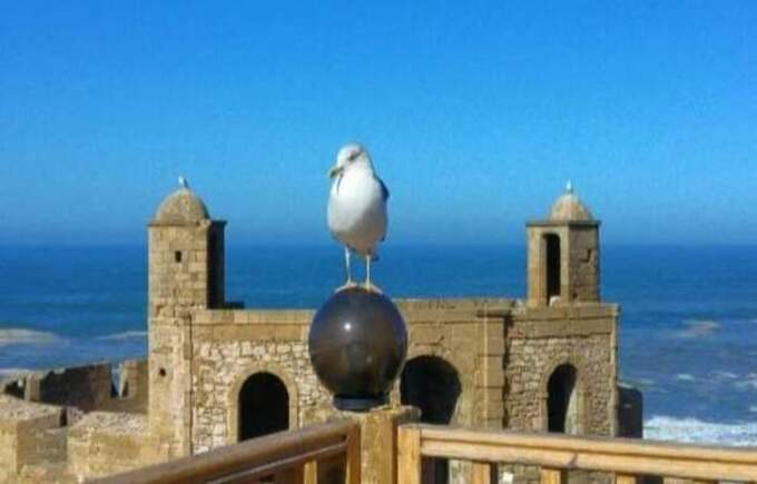 essaouira