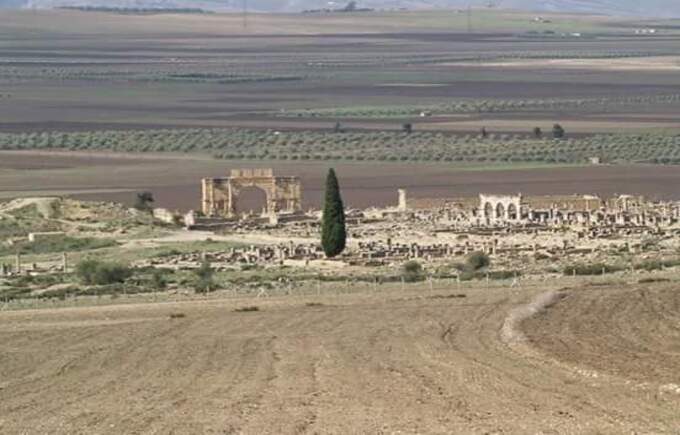 excursion a volubilis y meknes