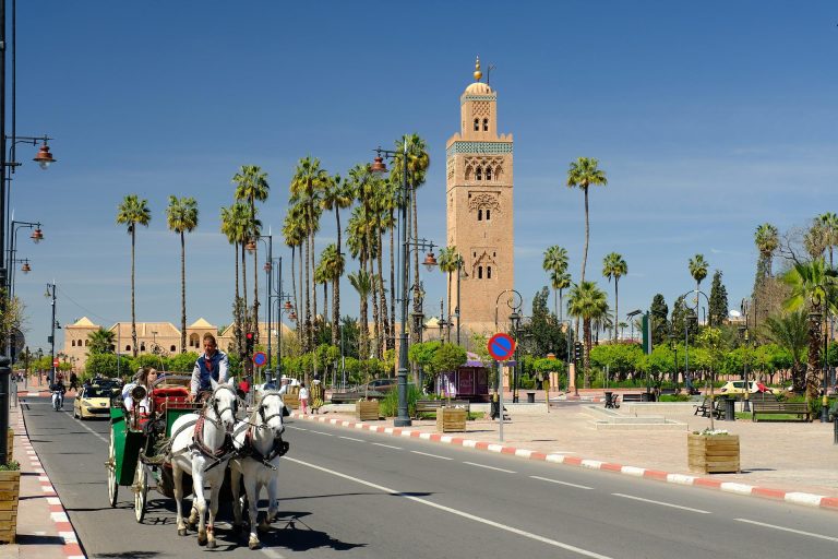 activities in marrakech