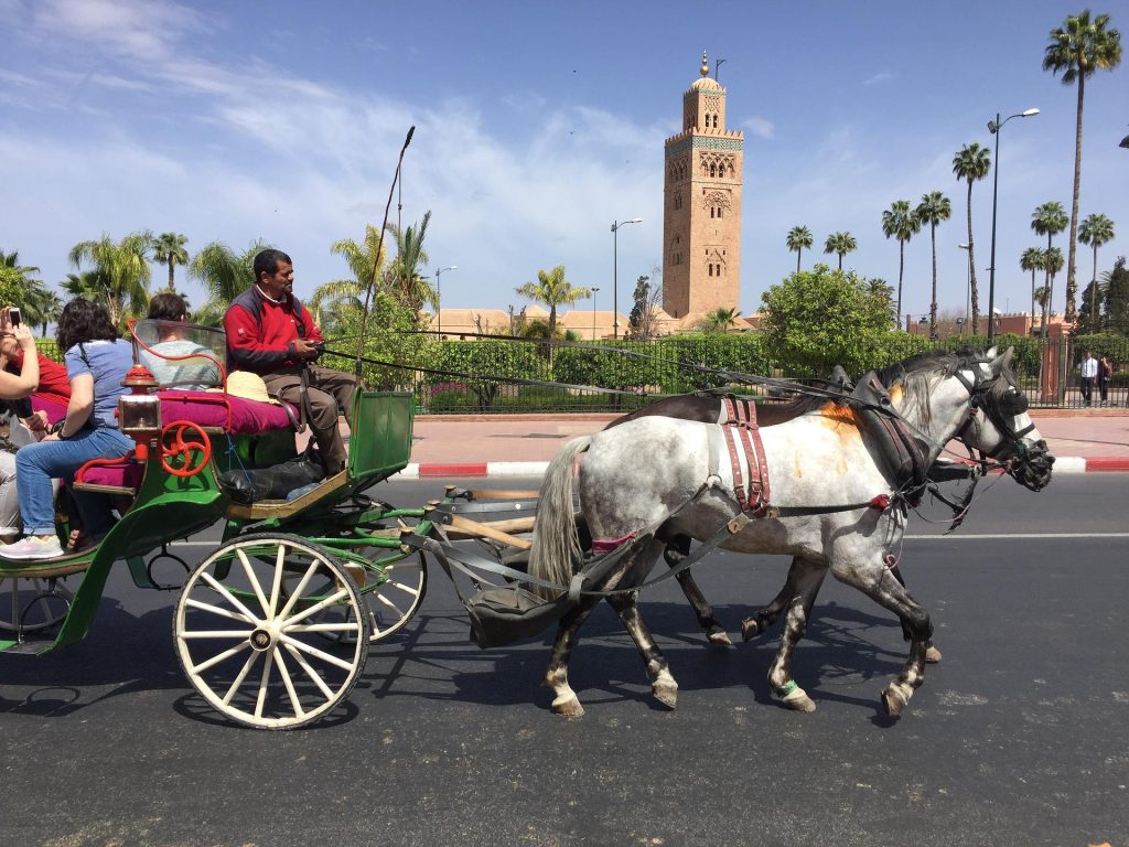 morocco tours from marrakech