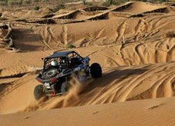 Nosotros buggy