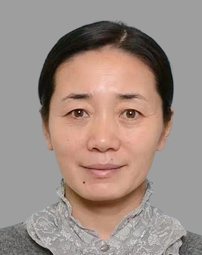 Liu Yanfei
