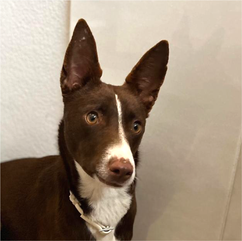 Max