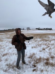 IMG 2919-Copy-Copy-Copy-Copy-2-Copy