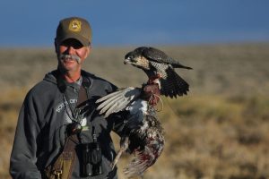 IMG 8646-Copy-Copy-Copy-Copy-Copy-Copy-2-Copy-Copy-Copy-Copy