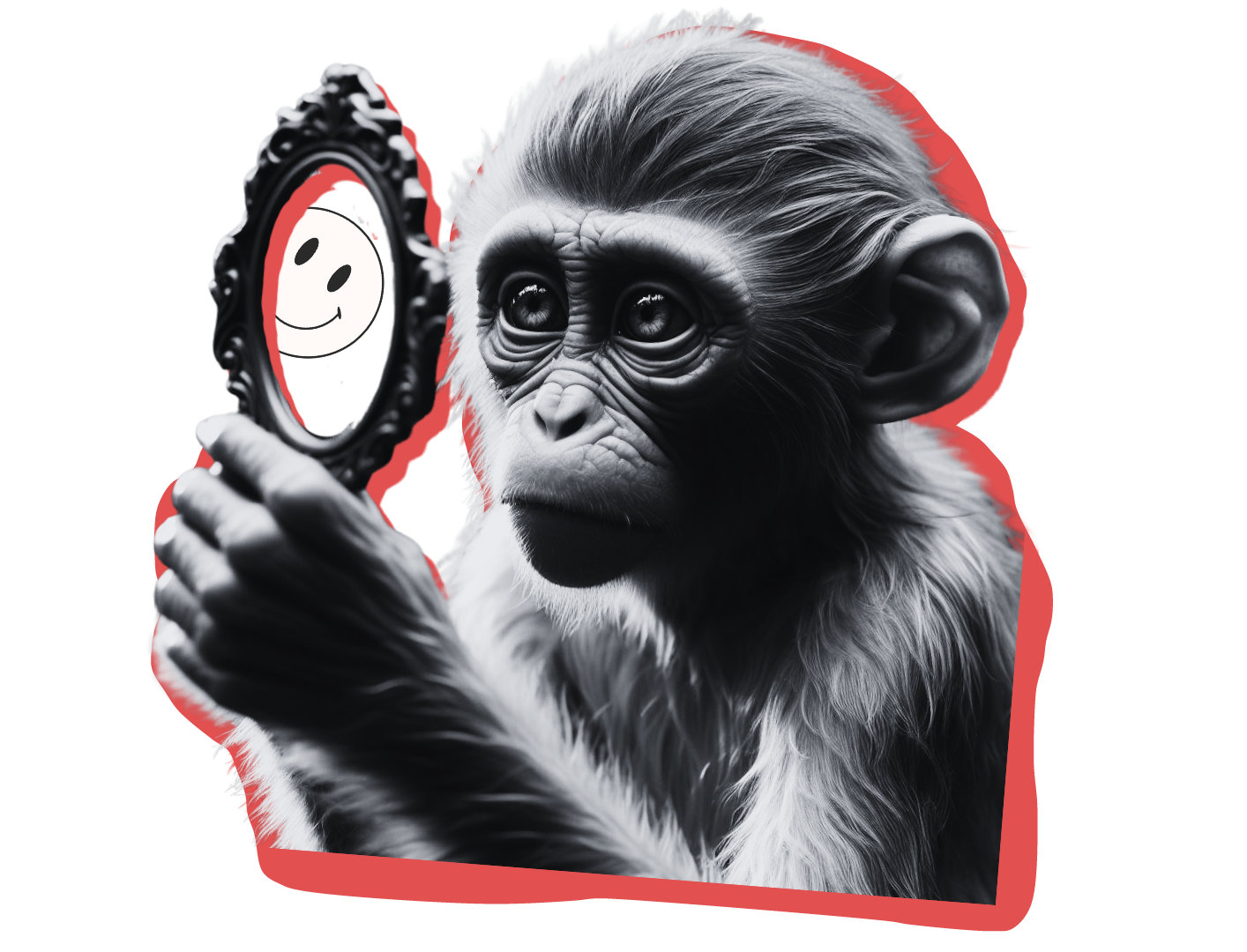 Identidad de marca mono con espejo