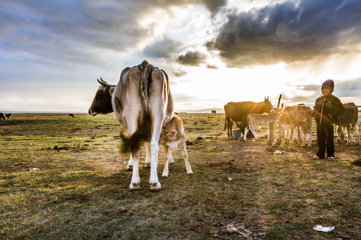 Adriaan Devillé travel photography Kyrgyzstan