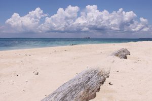 Turtle Island, Borneo