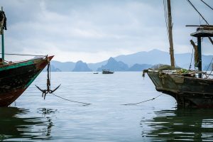 Bai Tu Long,Vietnam