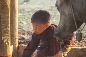 Cau Son,Vietnam