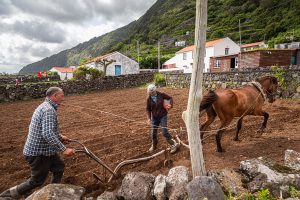 Azores