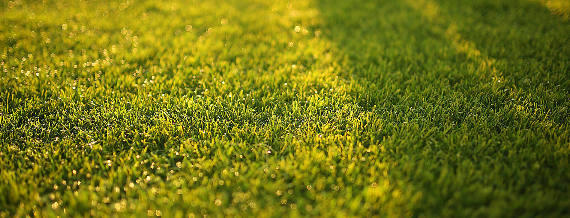 Ontdek welke ecologische
oplossingen Agro De Dijn u kan aanbieden