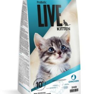 LIVE Kat, Kitten