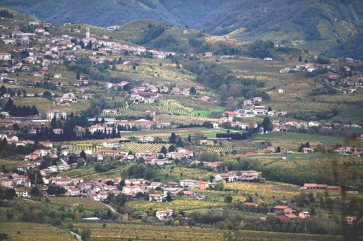 La casa comune - VALTER BINOTTO