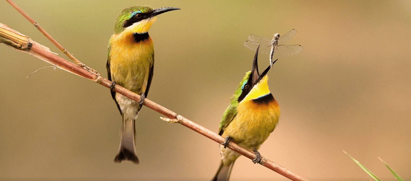 Uomo e Natura ai confini