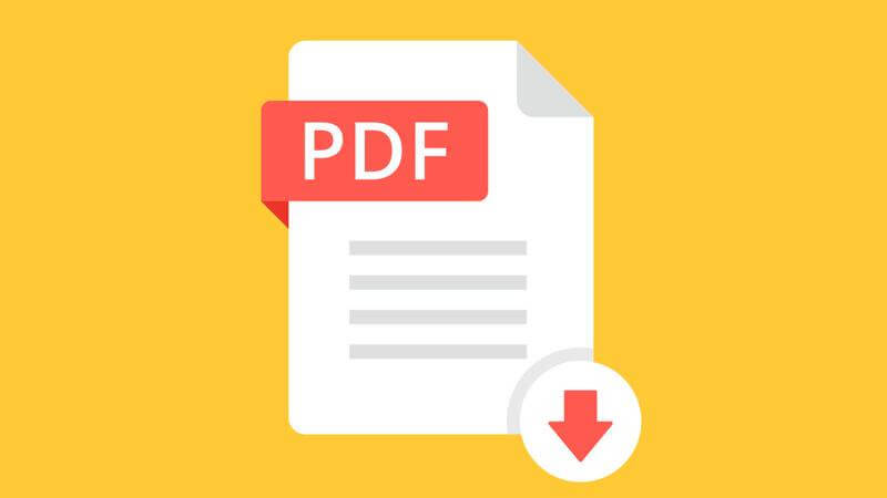 PDF icon