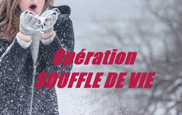 You are currently viewing Le Souffle de Vie du jour