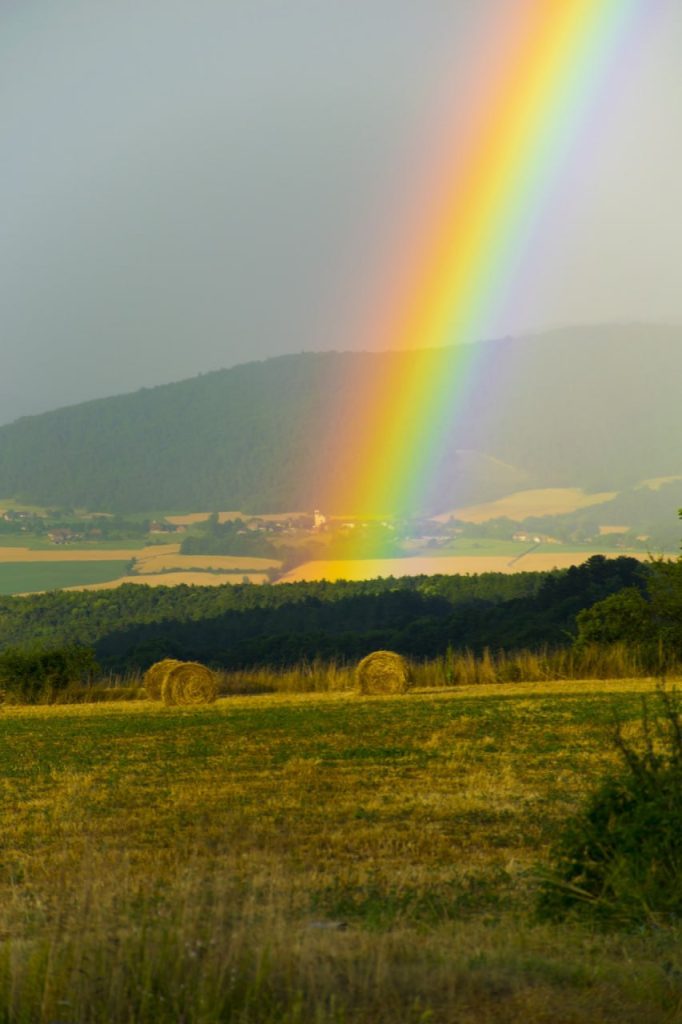 Lire la suite à propos de l’article L’ARC EN CIEL !