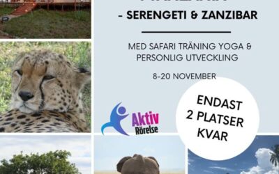 Upplevelse Retreat i Tanzania