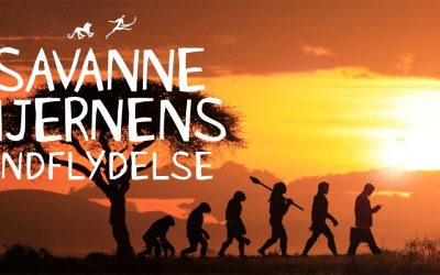 Savannehjernens indflydelse – invester psykologi