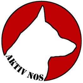Aktivnos logo