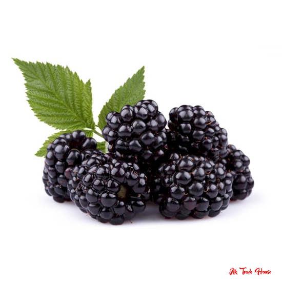 Blackberry Berries