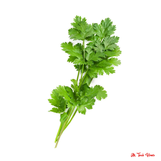 Coriander