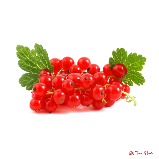 Red Currant