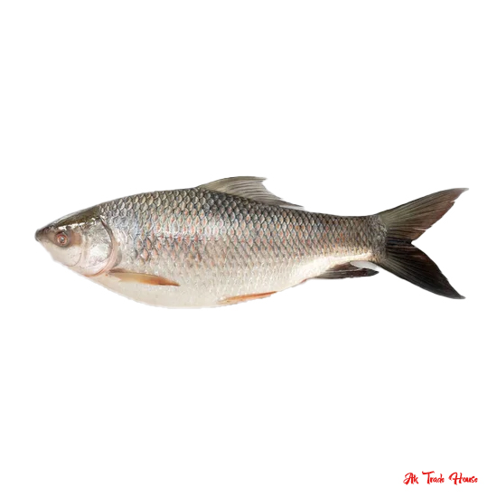 Rohu Fish