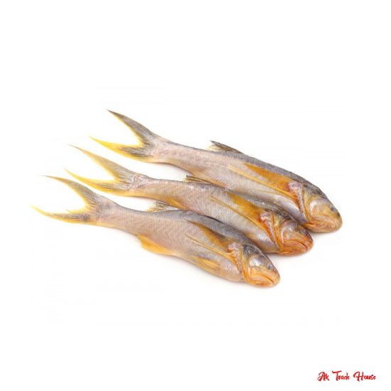 Taposhi (Rikshaw) Fish