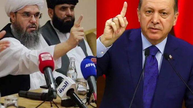Taliban erdogan ılımlı islam