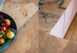 2205 Shacklewell Lane Alexander Hills Architects