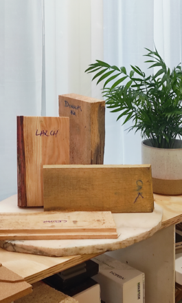 Alexander Hills Architects