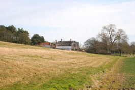 Alexander Hills Architects