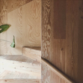 Detail of the stair Alexander Hills Architects