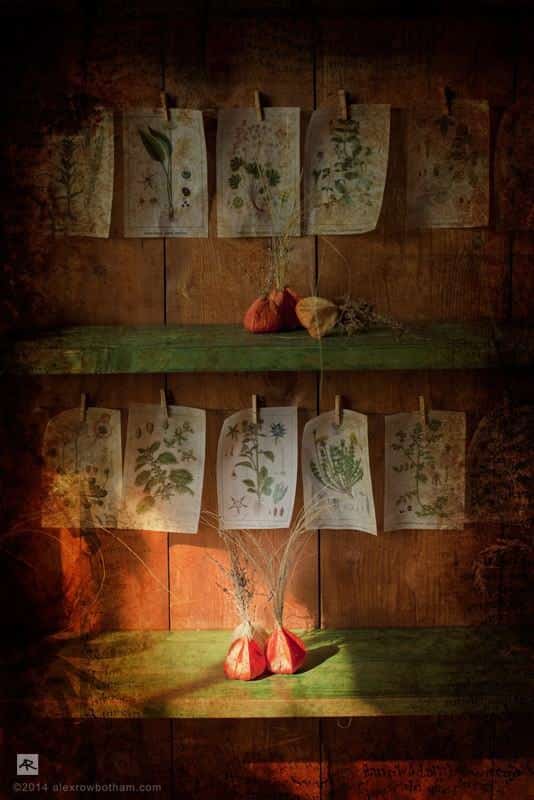 In The Potting Shed 4 - Digital Photographic Illustration