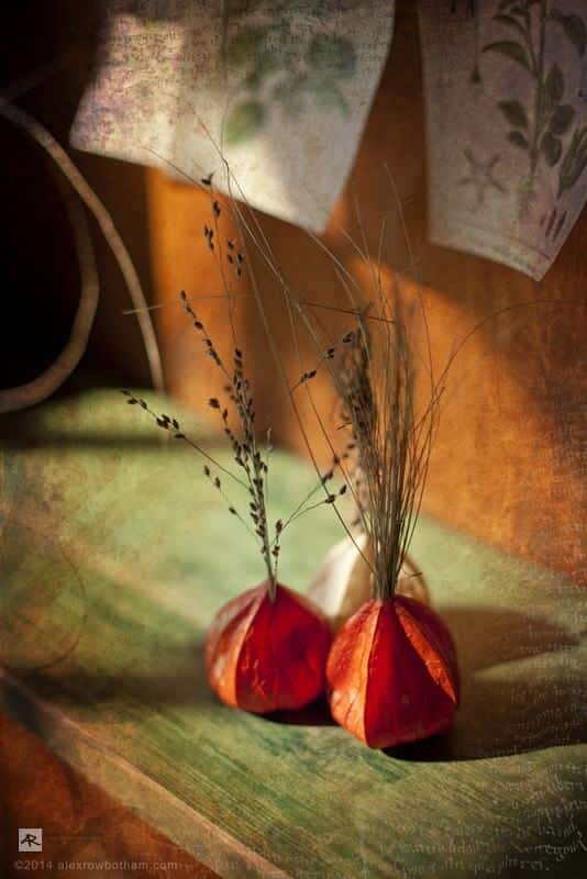 In The Potting Shed 3 - Digital Photographic Illustration