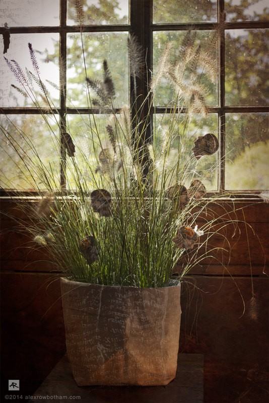 In The Potting Shed 2 - Digital Photographic Illustration
