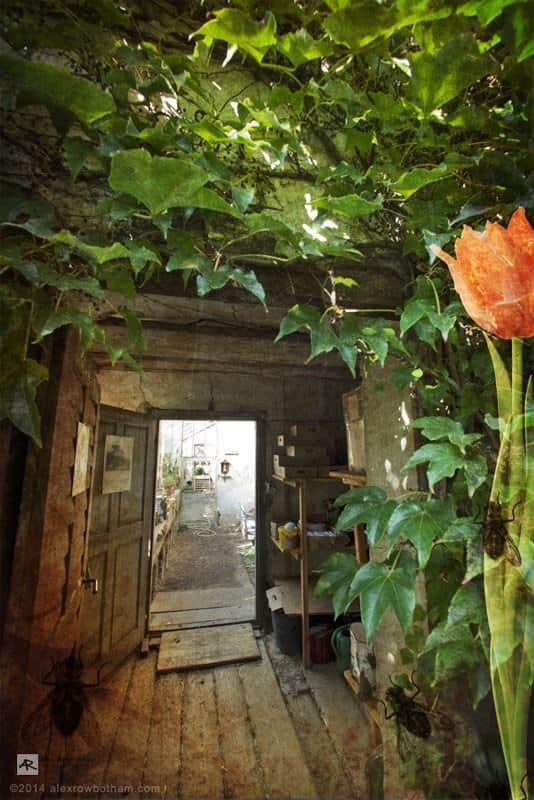 In The Potting Shed 1 - Digital Photographic Illustration