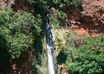 Safari Algarve