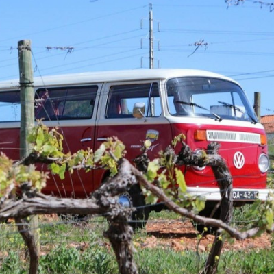 Wine tour Albufeira