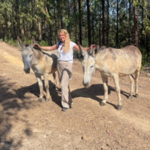 donkey tours algarve