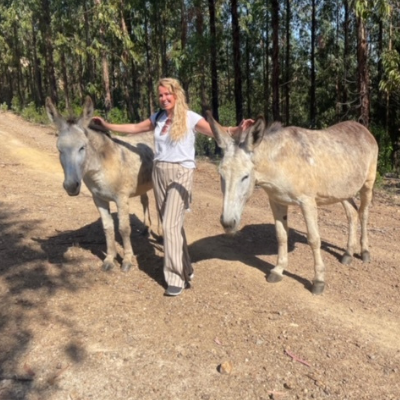 donkey tours algarve 