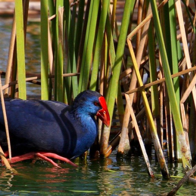 Ria formosa wandeling 