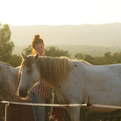 paardenretraite Algarve